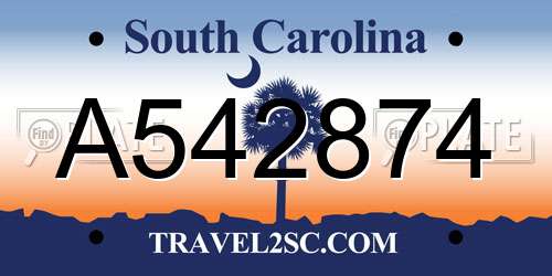 A542874 South Carolina License Plate