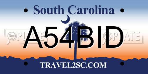 A54BID South Carolina License Plate