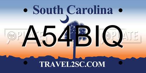 A54BIQ South Carolina License Plate