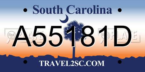 A55181D South Carolina License Plate