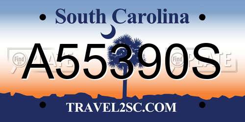 A55390S South Carolina License Plate