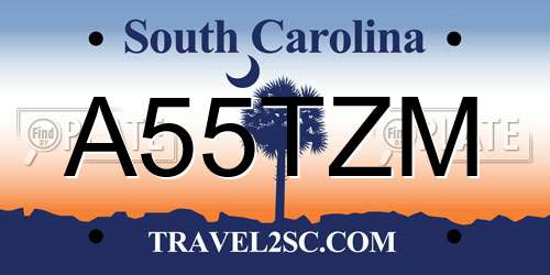A55TZM South Carolina License Plate