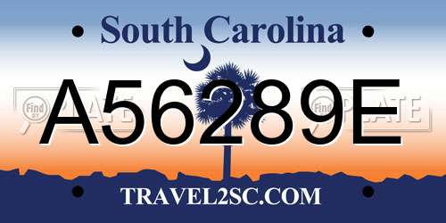 A56289E South Carolina License Plate
