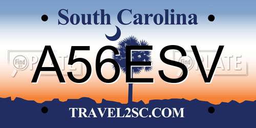 A56ESV South Carolina License Plate