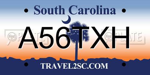 A56TXH South Carolina License Plate