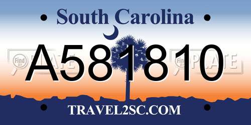 A581810 South Carolina License Plate