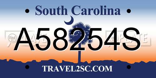 A58254S South Carolina License Plate