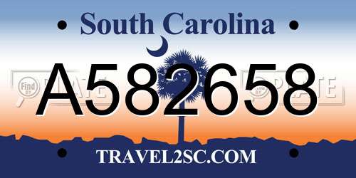 A582658 South Carolina License Plate