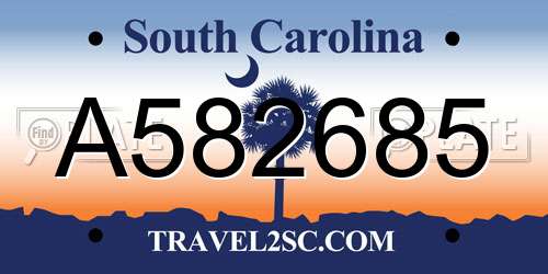 A582685 South Carolina License Plate