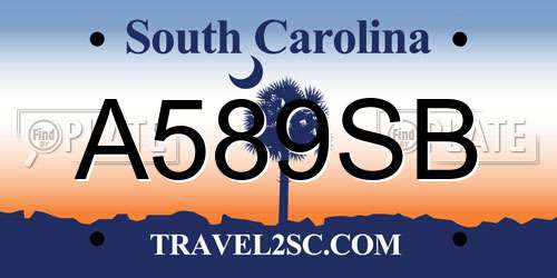 A589SB South Carolina License Plate