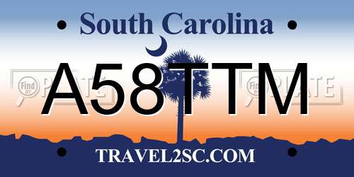 A58TTM South Carolina License Plate