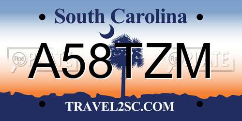 A58TZM South Carolina License Plate