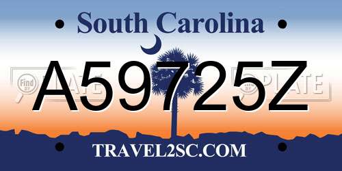 A59725Z South Carolina License Plate