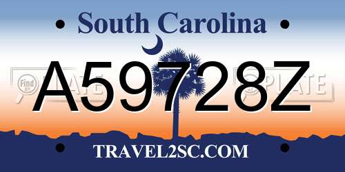 A59728Z South Carolina License Plate