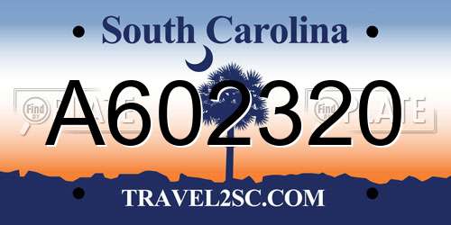 A602320 South Carolina License Plate