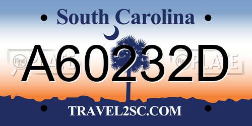 A60232D South Carolina License Plate