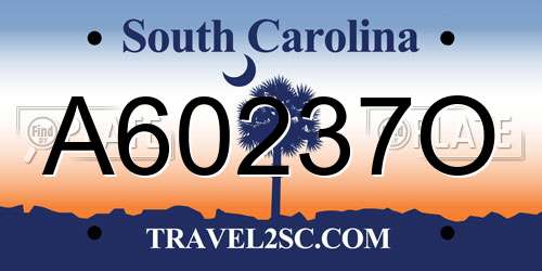 A60237O South Carolina License Plate