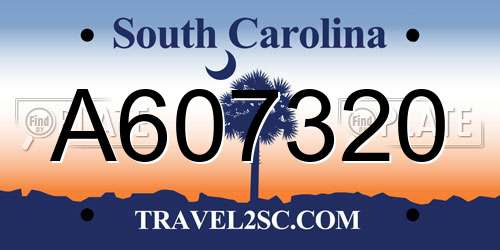 A607320 South Carolina License Plate