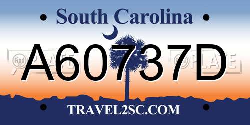 A60737D South Carolina License Plate