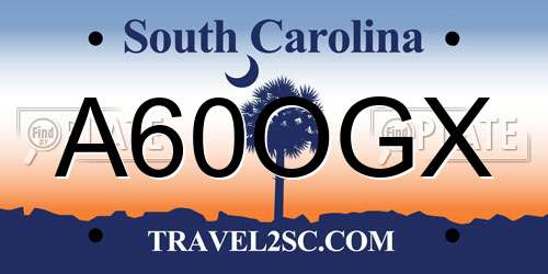 A60OGX South Carolina License Plate