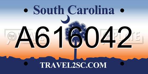 A616042 South Carolina License Plate