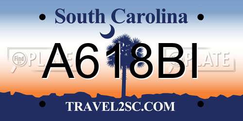A618BI South Carolina License Plate