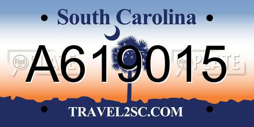 A619015 South Carolina License Plate