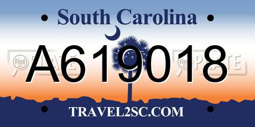 A619018 South Carolina License Plate