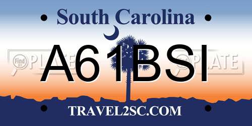 A61BSI South Carolina License Plate