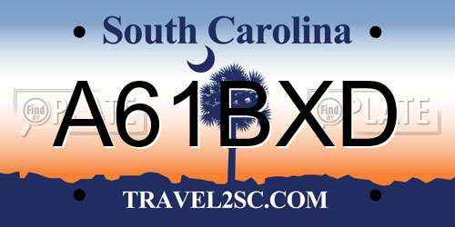 A61BXD South Carolina License Plate