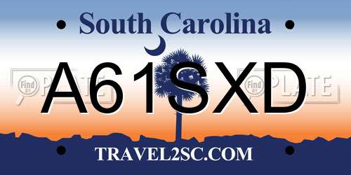 A61SXD South Carolina License Plate