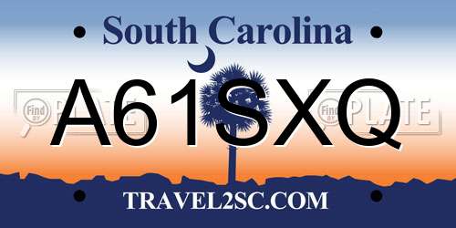 A61SXQ South Carolina License Plate