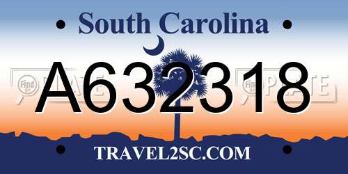 A632318 South Carolina License Plate
