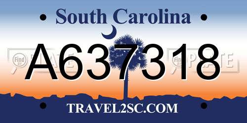 A637318 South Carolina License Plate