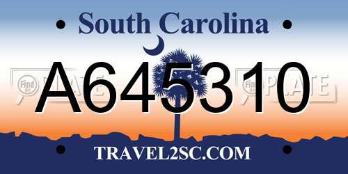 A645310 South Carolina License Plate