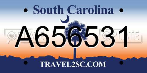 A656531 South Carolina License Plate