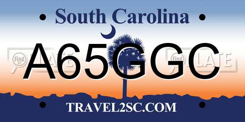 A65GGC South Carolina License Plate