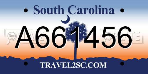 A661456 South Carolina License Plate