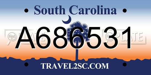 A686531 South Carolina License Plate