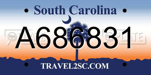 A686831 South Carolina License Plate