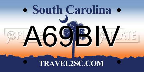 A69BIV South Carolina License Plate