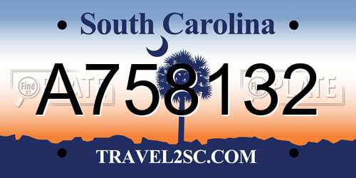 A758132 South Carolina License Plate