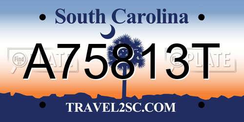 A75813T South Carolina License Plate