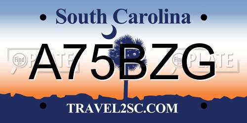 A75BZG South Carolina License Plate