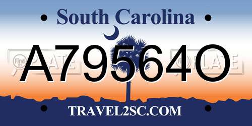 A79564O South Carolina License Plate