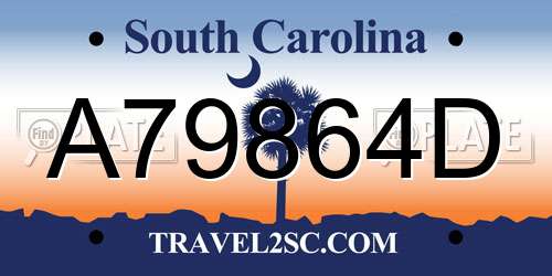 A79864D South Carolina License Plate