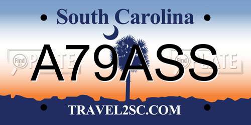 A79ASS South Carolina License Plate