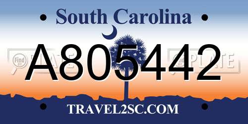 A805442 South Carolina License Plate