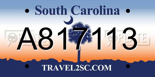 A817113 South Carolina License Plate