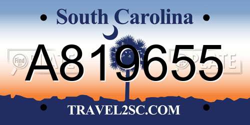 A819655 South Carolina License Plate